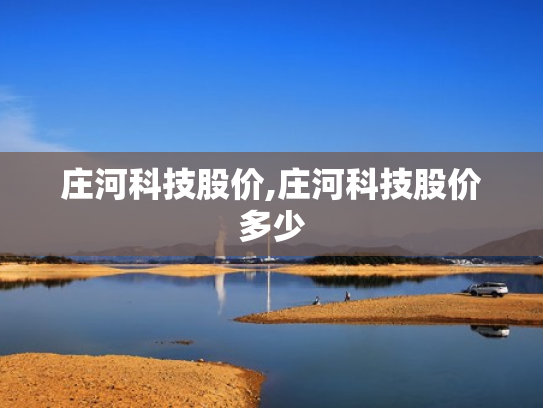庄河科技股价,庄河科技股价多少