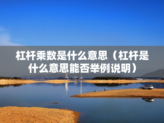 杠杆乘数是什么意思（杠杆是什么意思能否举例说明）