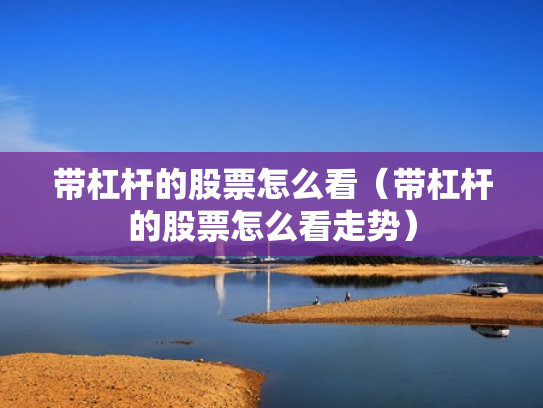 带杠杆的股票怎么看（带杠杆的股票怎么看走势）