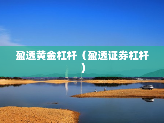 盈透黄金杠杆（盈透证券杠杆）