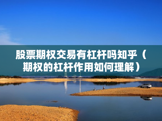 股票期权交易有杠杆吗知乎（期权的杠杆作用如何理解）