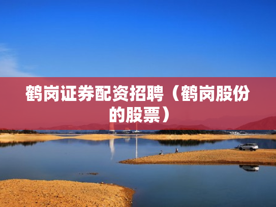 鹤岗证券配资招聘（鹤岗股份的股票）