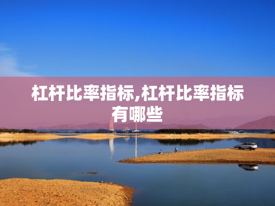 杠杆比率指标,杠杆比率指标有哪些