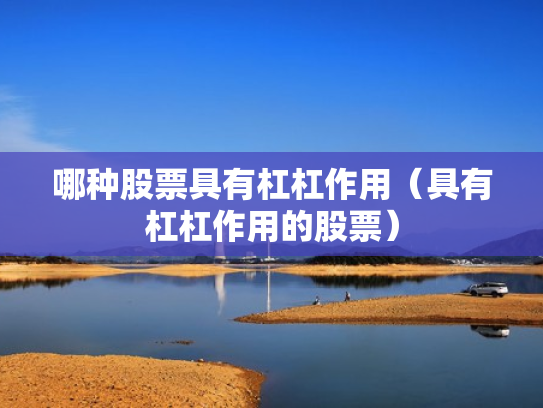 哪种股票具有杠杠作用（具有杠杠作用的股票）