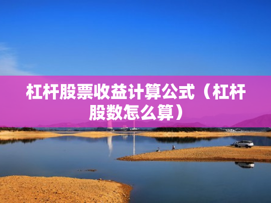 杠杆股票收益计算公式（杠杆股数怎么算）