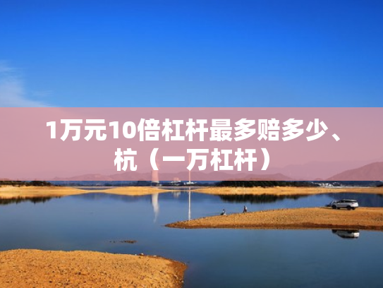 1万元10倍杠杆最多赔多少、杭（一万杠杆）