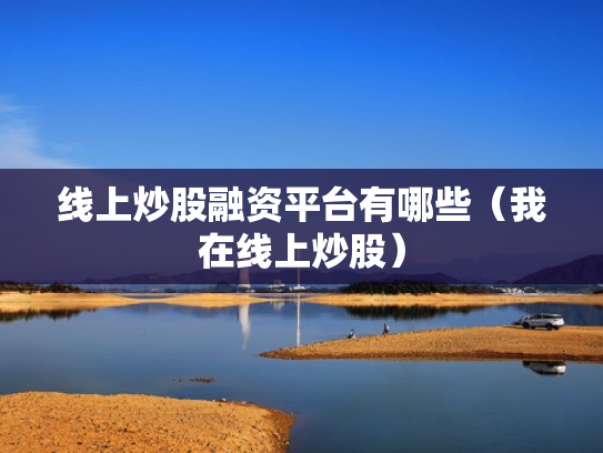 线上炒股融资平台有哪些（我在线上炒股）