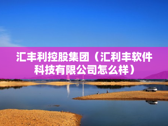 汇丰利控股集团（汇利丰软件科技有限公司怎么样）
