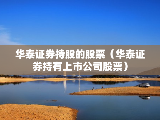 华泰证券持股的股票（华泰证券持有上市公司股票）