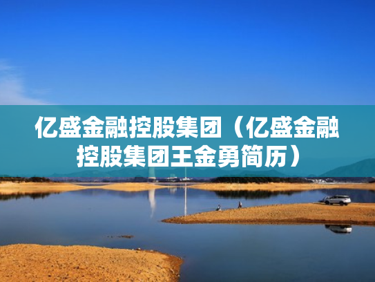 亿盛金融控股集团（亿盛金融控股集团王金勇简历）