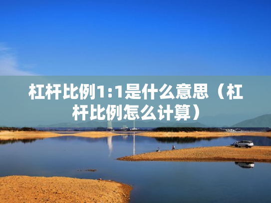 杠杆比例1:1是什么意思（杠杆比例怎么计算）