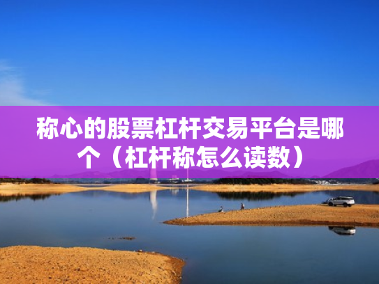 称心的股票杠杆交易平台是哪个（杠杆称怎么读数）