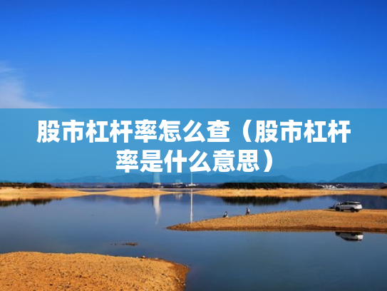 股市杠杆率怎么查（股市杠杆率是什么意思）