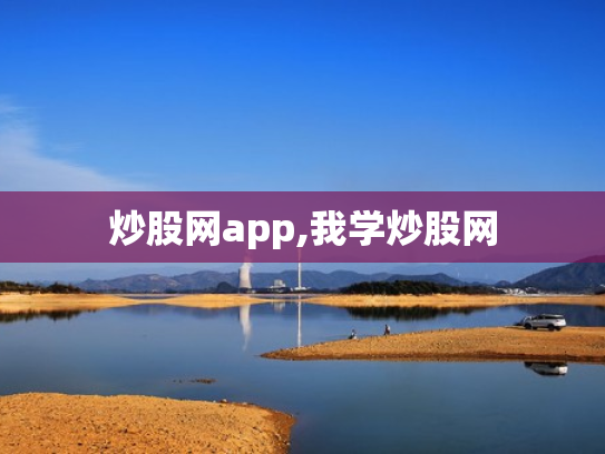 炒股网app,我学炒股网