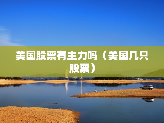 美国股票有主力吗（美国几只股票）