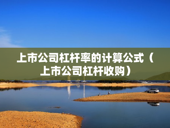 上市公司杠杆率的计算公式（上市公司杠杆收购）