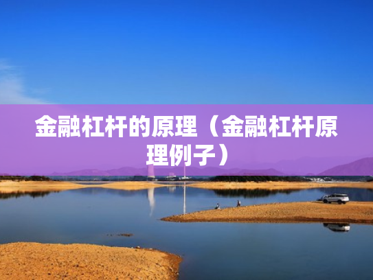 金融杠杆的原理（金融杠杆原理例子）