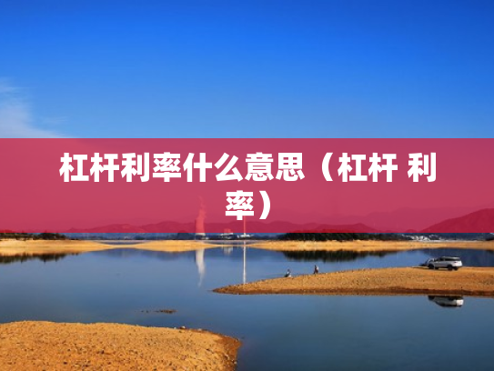 杠杆利率什么意思（杠杆 利率）