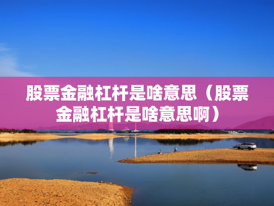 股票金融杠杆是啥意思（股票金融杠杆是啥意思啊）