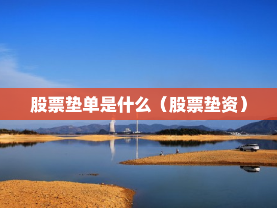 股票垫单是什么（股票垫资）
