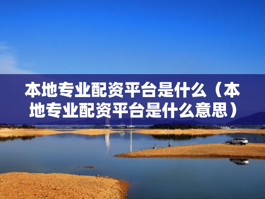 本地专业配资平台是什么（本地专业配资平台是什么意思）