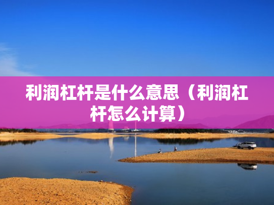 利润杠杆是什么意思（利润杠杆怎么计算）