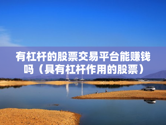 有杠杆的股票交易平台能赚钱吗（具有杠杆作用的股票）