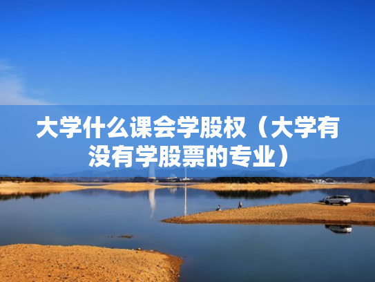 大学什么课会学股权（大学有没有学股票的专业）