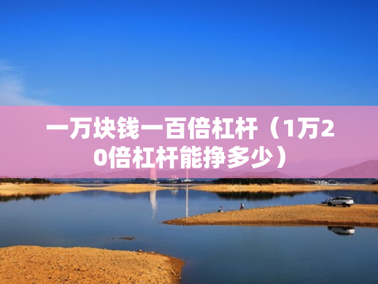一万块钱一百倍杠杆（1万20倍杠杆能挣多少）