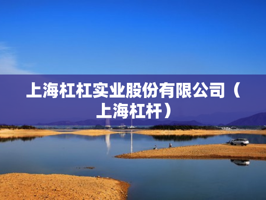 上海杠杠实业股份有限公司（上海杠杆）