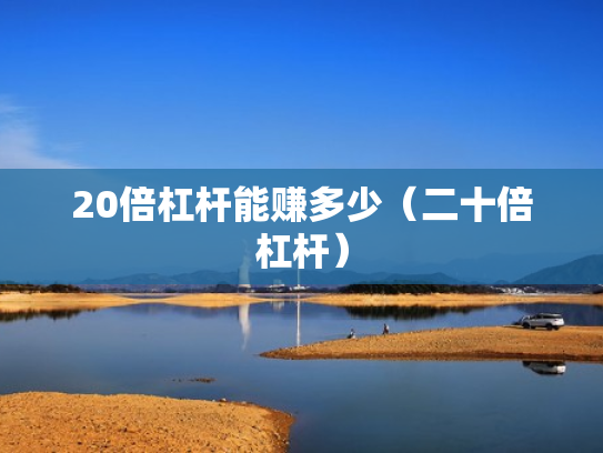 20倍杠杆能赚多少（二十倍杠杆）