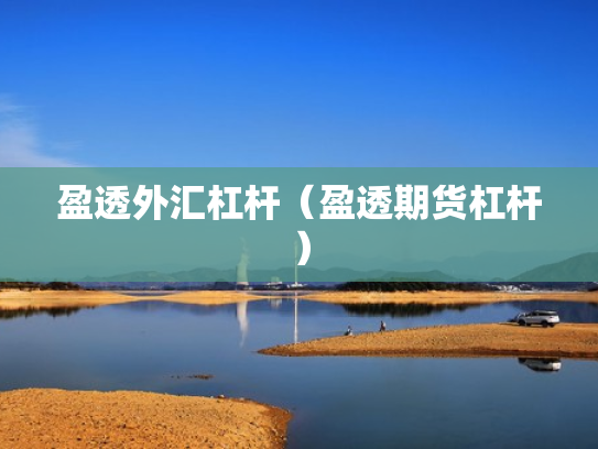 盈透外汇杠杆（盈透期货杠杆）