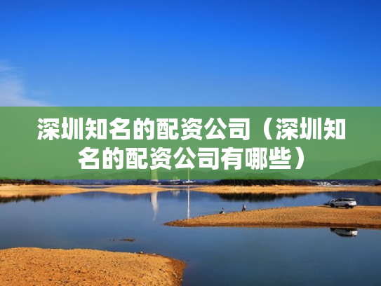 深圳知名的配资公司（深圳知名的配资公司有哪些）