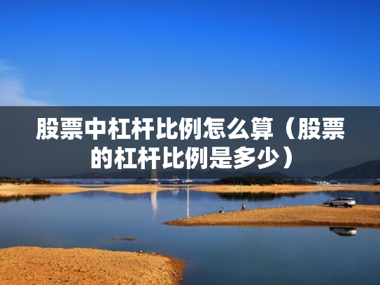 股票中杠杆比例怎么算（股票的杠杆比例是多少）