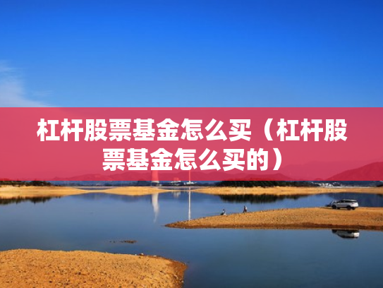 杠杆股票基金怎么买（杠杆股票基金怎么买的）