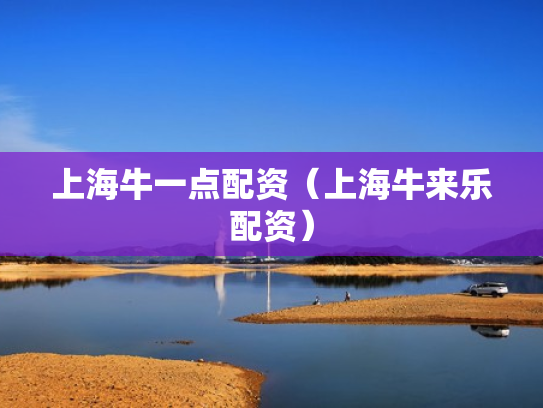 上海牛一点配资（上海牛来乐配资）