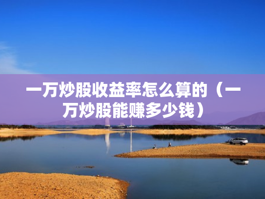 一万炒股收益率怎么算的（一万炒股能赚多少钱）