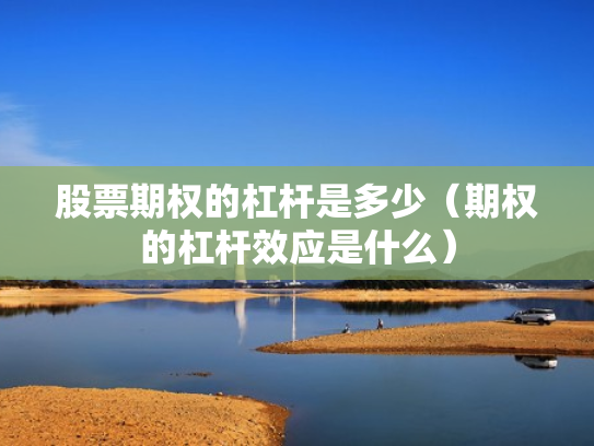 股票期权的杠杆是多少（期权的杠杆效应是什么）