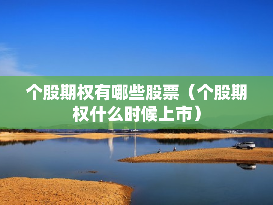 个股期权有哪些股票（个股期权什么时候上市）