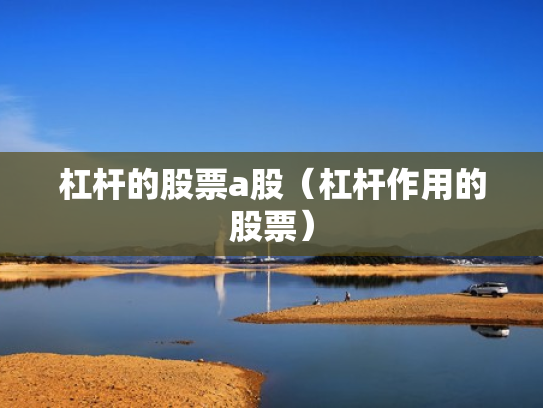 杠杆的股票a股（杠杆作用的股票）
