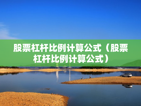 股票杠杆比例计算公式（股票杠杆比例计算公式）