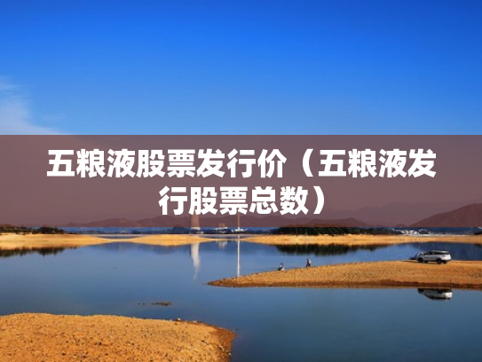 五粮液股票发行价（五粮液发行股票总数）