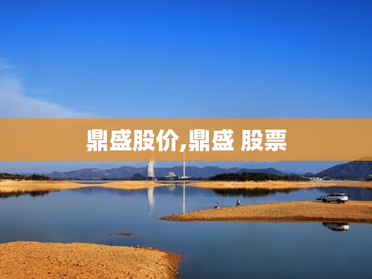 鼎盛股价,鼎盛 股票