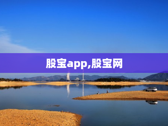 股宝app,股宝网