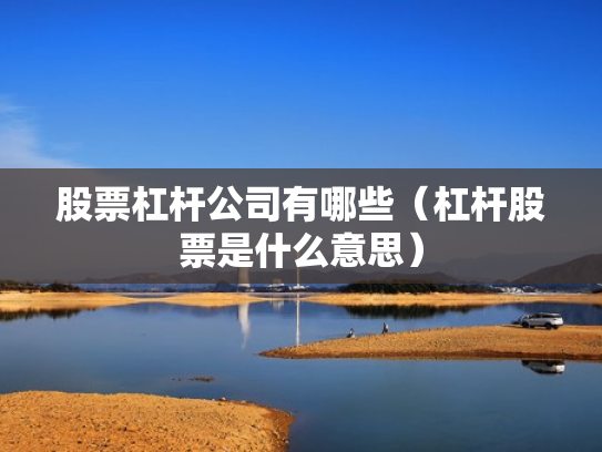 股票杠杆公司有哪些（杠杆股票是什么意思）