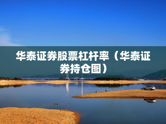 华泰证券股票杠杆率（华泰证券持仓图）