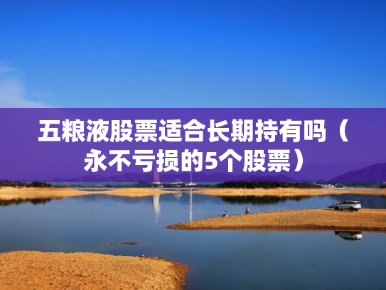 五粮液股票适合长期持有吗（永不亏损的5个股票）