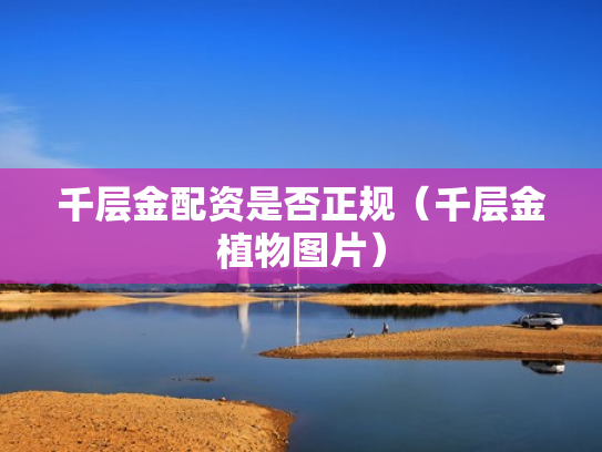 千层金配资是否正规（千层金植物图片）