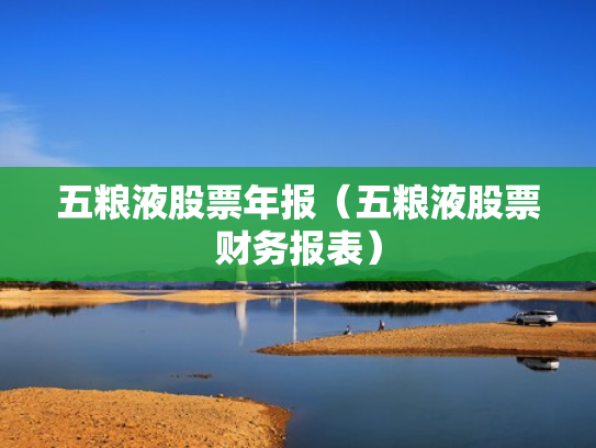 五粮液股票年报（五粮液股票财务报表）