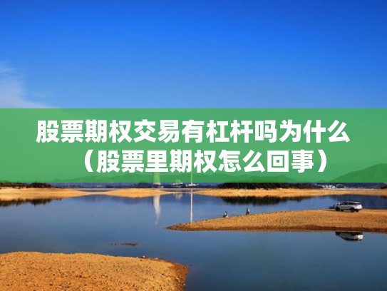 股票期权交易有杠杆吗为什么（股票里期权怎么回事）